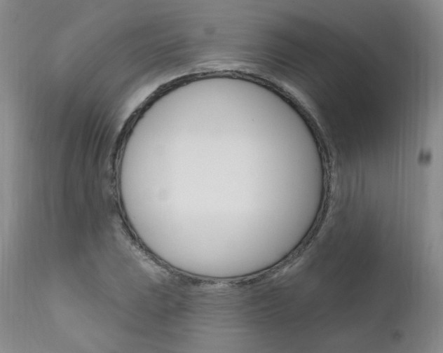 X0000111021023200906191225