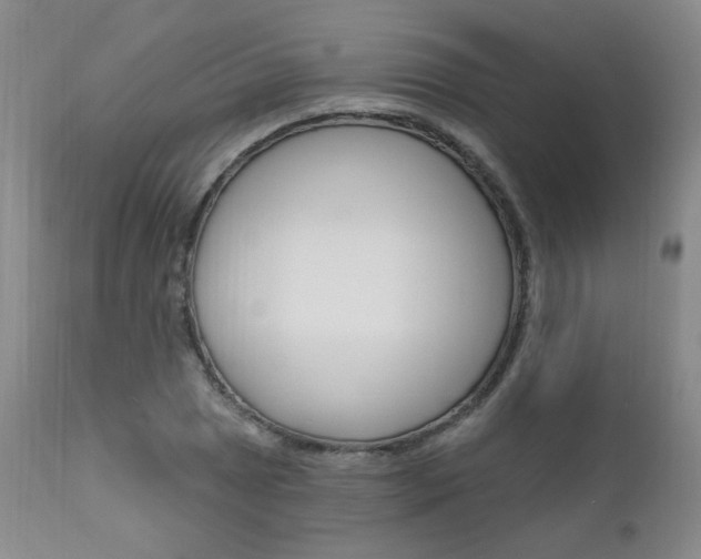 X0000111021025200906191225