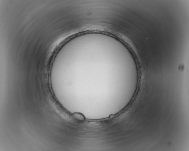 X0000111021027200906191225