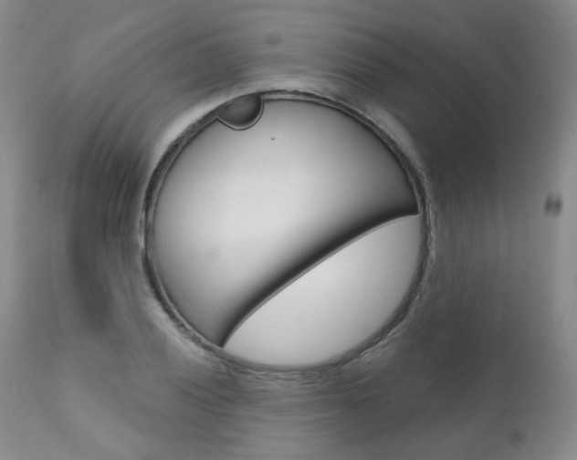 X0000111021028200906191225