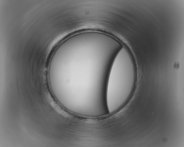X0000111021029200906191225