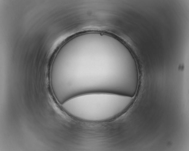 X0000111021030200906191225