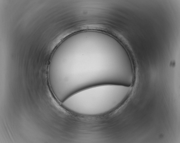X0000111021033200906191225