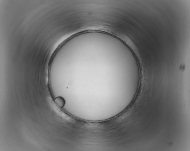 X0000111021036200906191225
