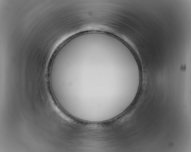 X0000111021037200906191225