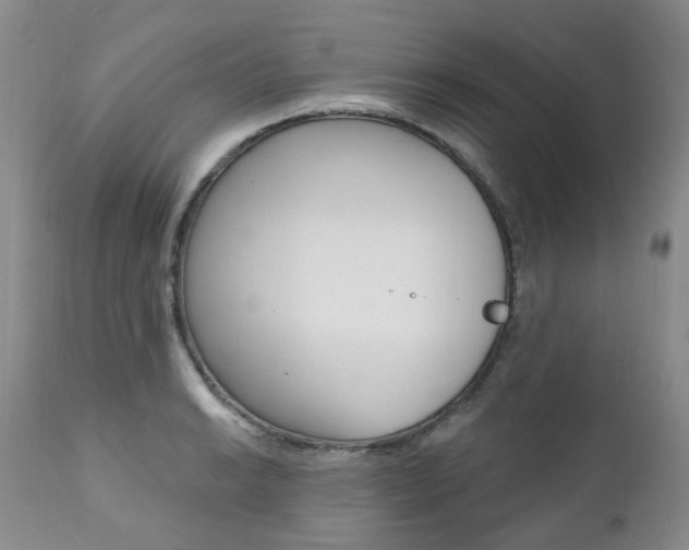X0000111021038200906191225