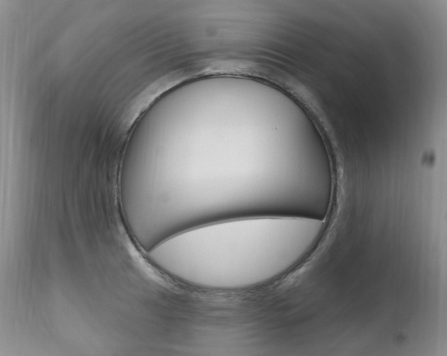 X0000111021041200906191225
