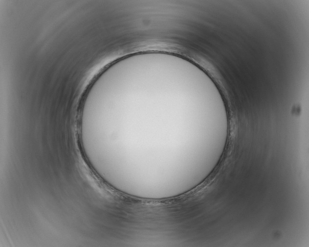 X0000111021043200906191225