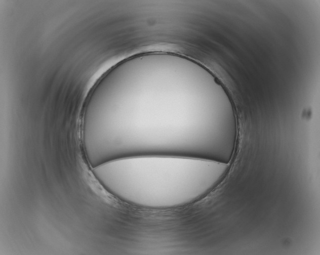 X0000111021044200906191225