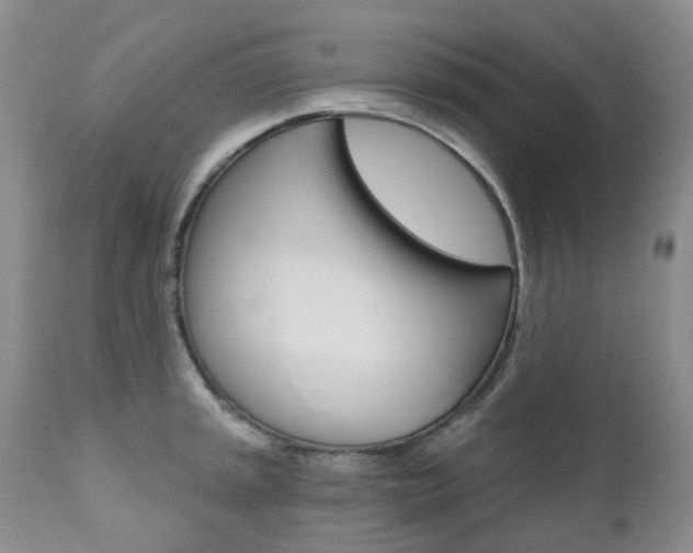 X0000111021045200906191225