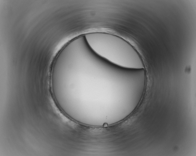 X0000111021046200906191225