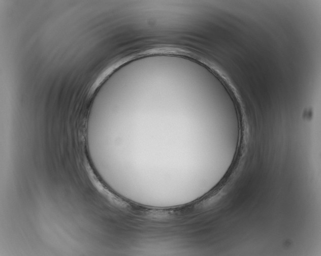 X0000111021049200906191225