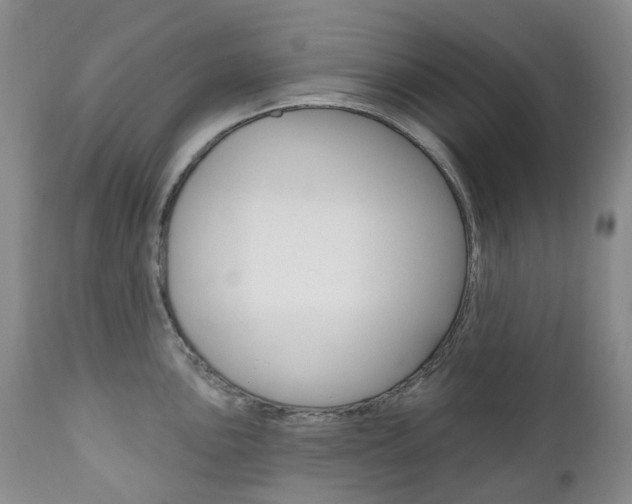 X0000111021051200906191225
