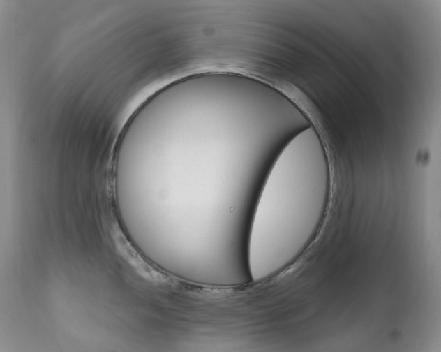 X0000111021052200906191225