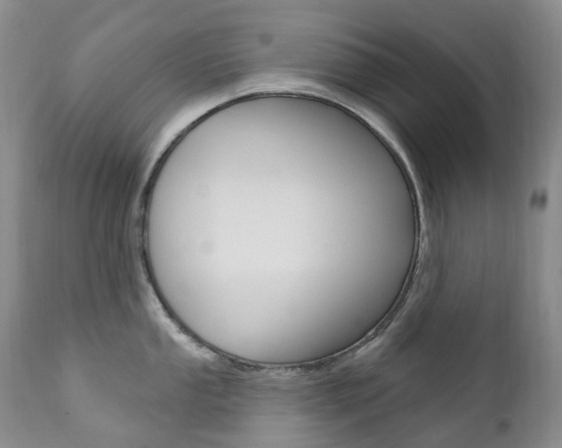 X0000111021053200906191225