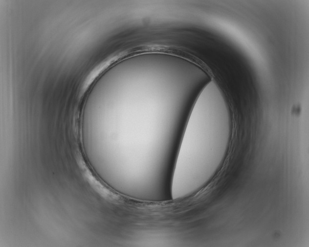 X0000111021054200906191225