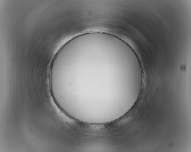 X0000111021055200906191225
