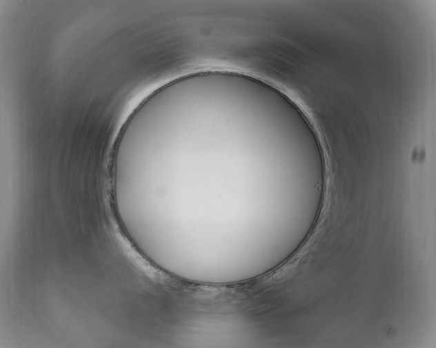 X0000111021056200906191226
