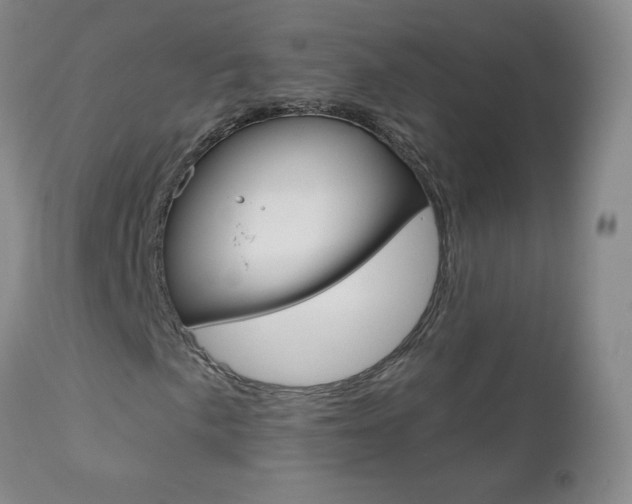 X0000111021057200906191225
