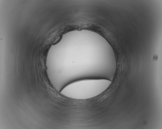 X0000111021058200906191225