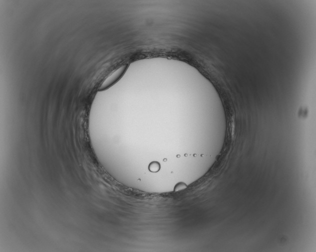 X0000111021059200906191225
