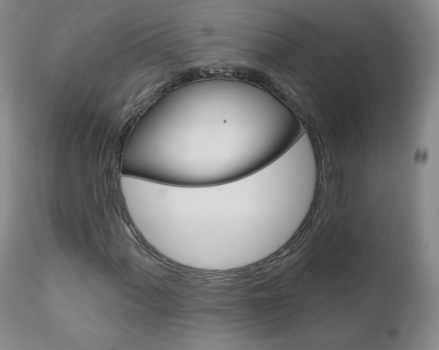 X0000111021060200906191225