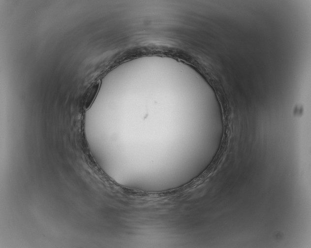 X0000111021061200906191225