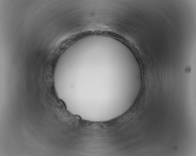 X0000111021063200906191225
