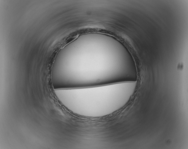 X0000111021064200906191225