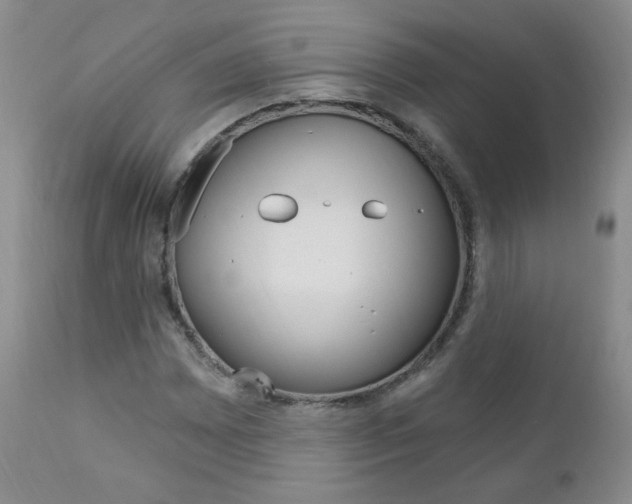 X0000111021065200906191225