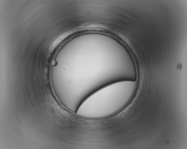X0000111021066200906191225