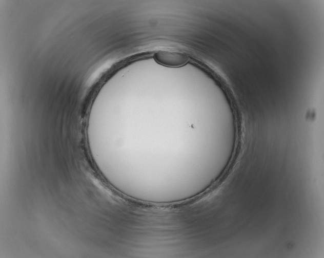 X0000111021067200906191225