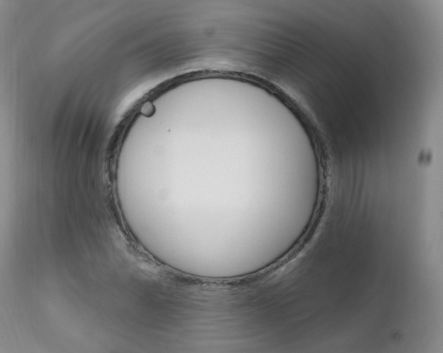 X0000111021070200906191224