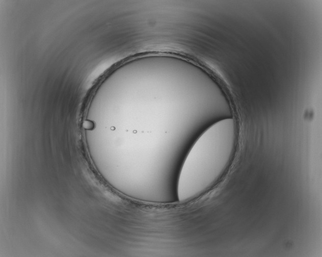 X0000111021071200906191224