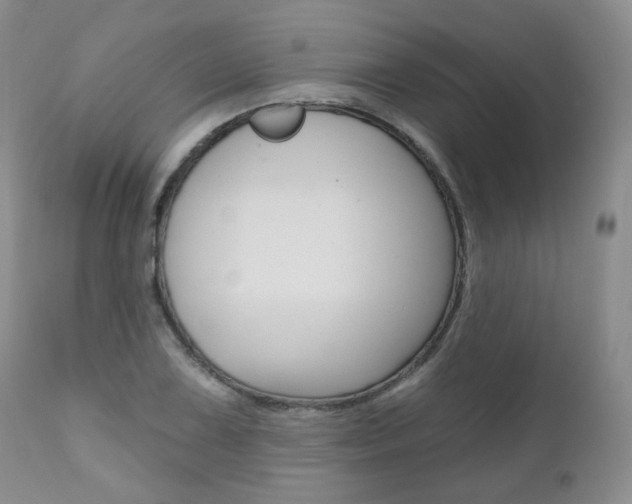 X0000111021075200906191224