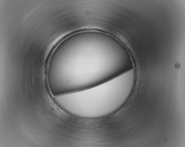 X0000111021076200906191224