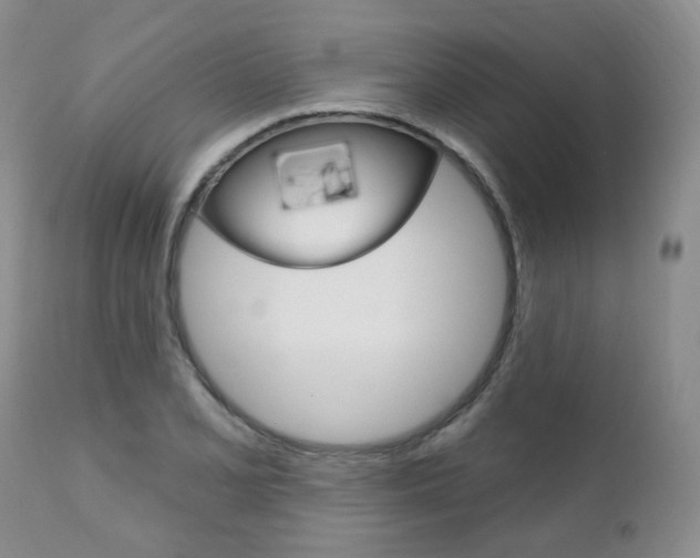 X0000111021077200906191224