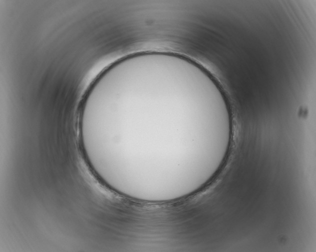 X0000111021078200906191224