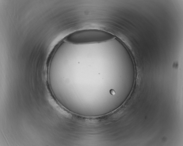 X0000111021080200906191224