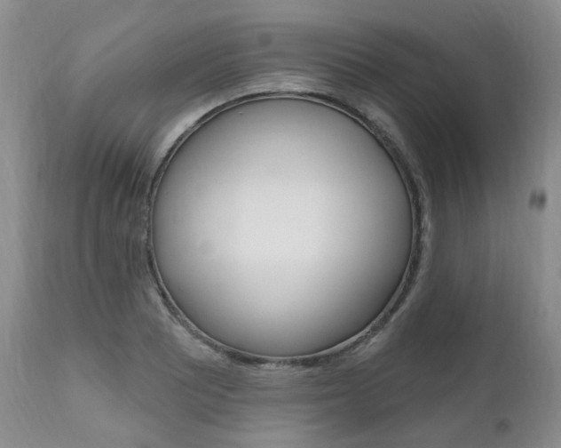 X0000111021081200906191224