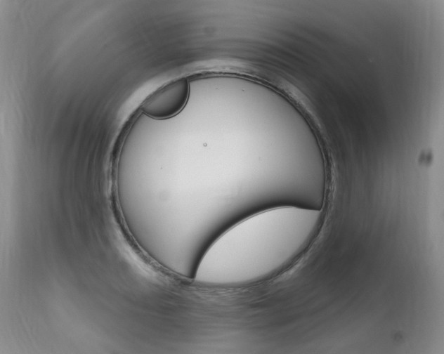 X0000111021082200906191224
