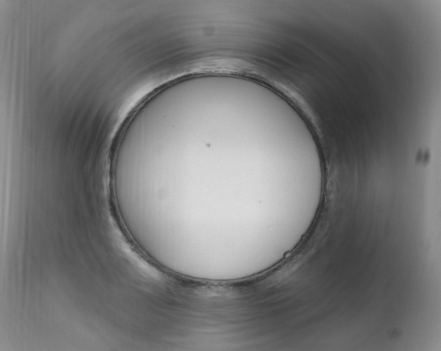 X0000111021083200906191224