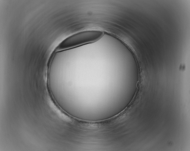 X0000111021084200906191224