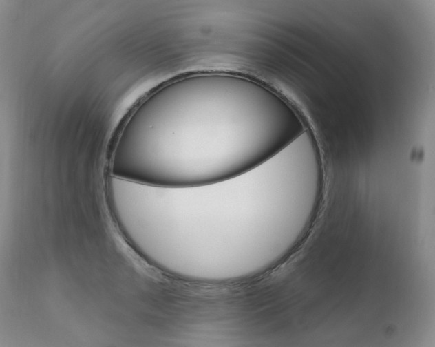 X0000111021085200906191224