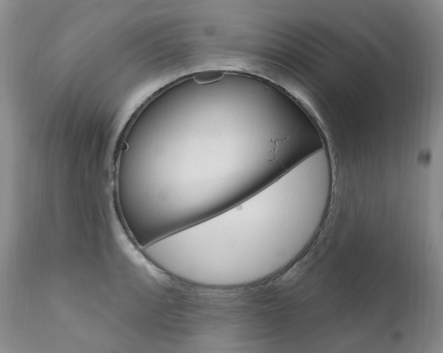 X0000111021088200906191224