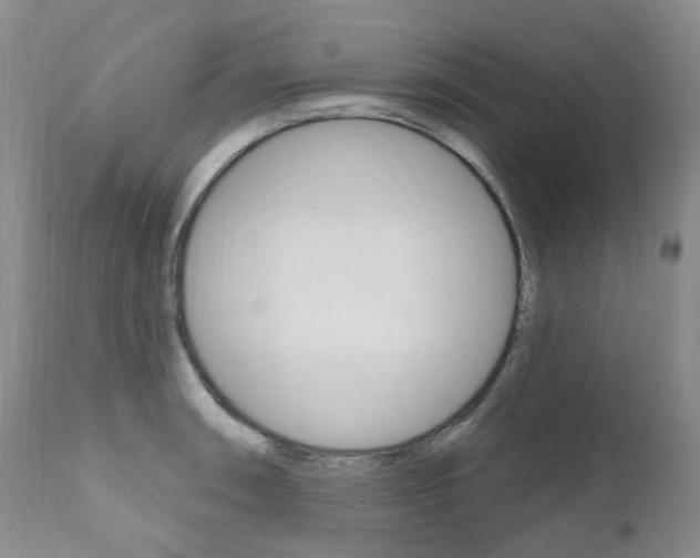 X0000111021090200906191224