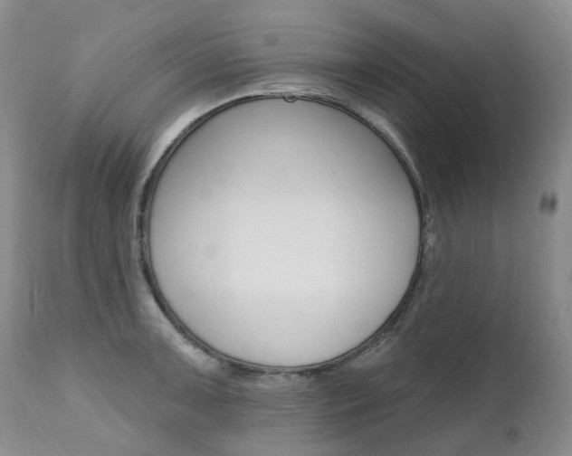 X0000111021091200906191224