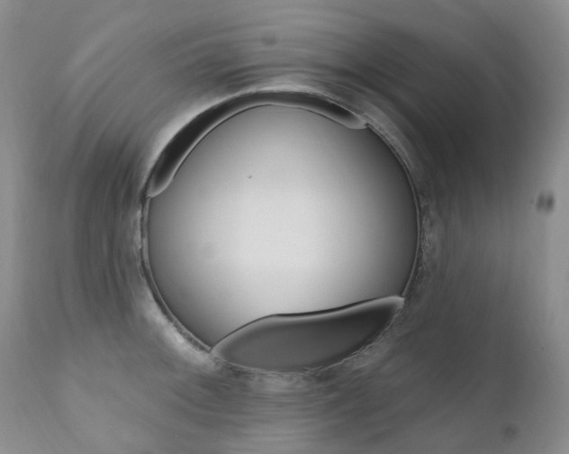 X0000111021092200906191224