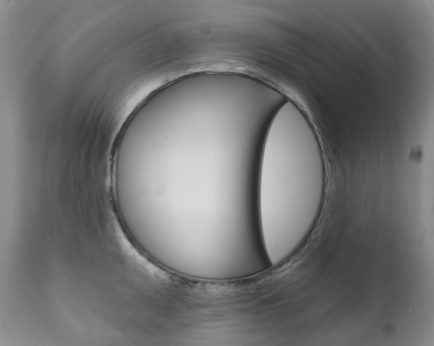 X0000111021095200906191224