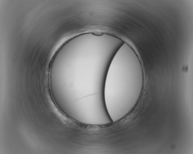 X0000111021099200906191224